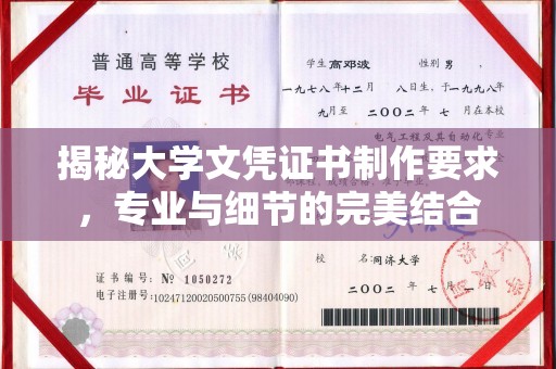 汝城揭秘大学文凭证书制作要求，专业与细节的完美结合
